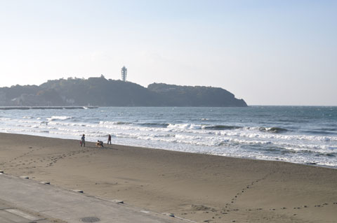 江ノ島水族館前の砂浜を，犬を連れて散歩する親子。いいところだなぁ・・・（＾＾）