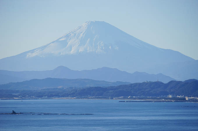 謹賀新年！ 今年こそ、この山に・・・？（江の島展望台からの富士山です）