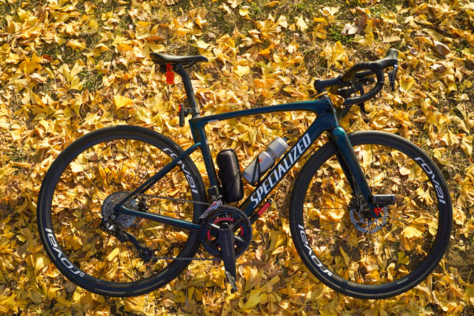 で、結局同じ写真デス。