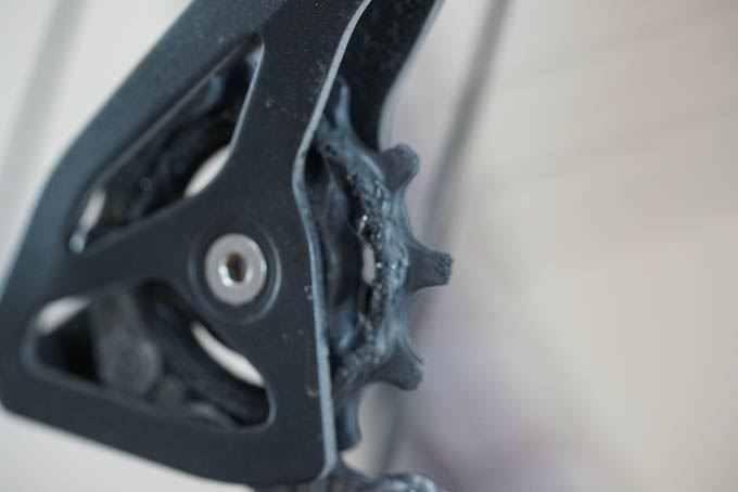 こちらもひどいことに・・・。1年もサボるとあかんですね。